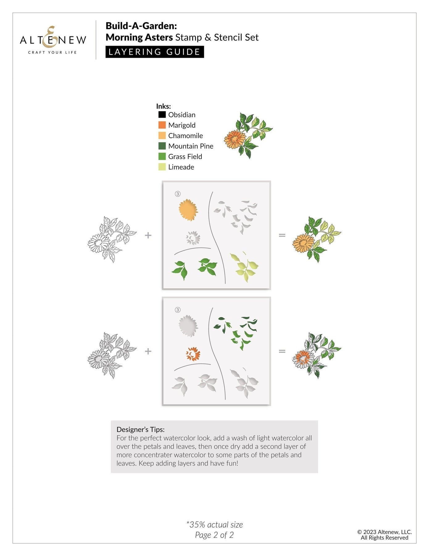 Build-A-Garden: Morning Asters Bundle