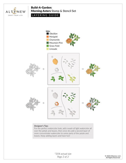 Build-A-Garden: Morning Asters Bundle