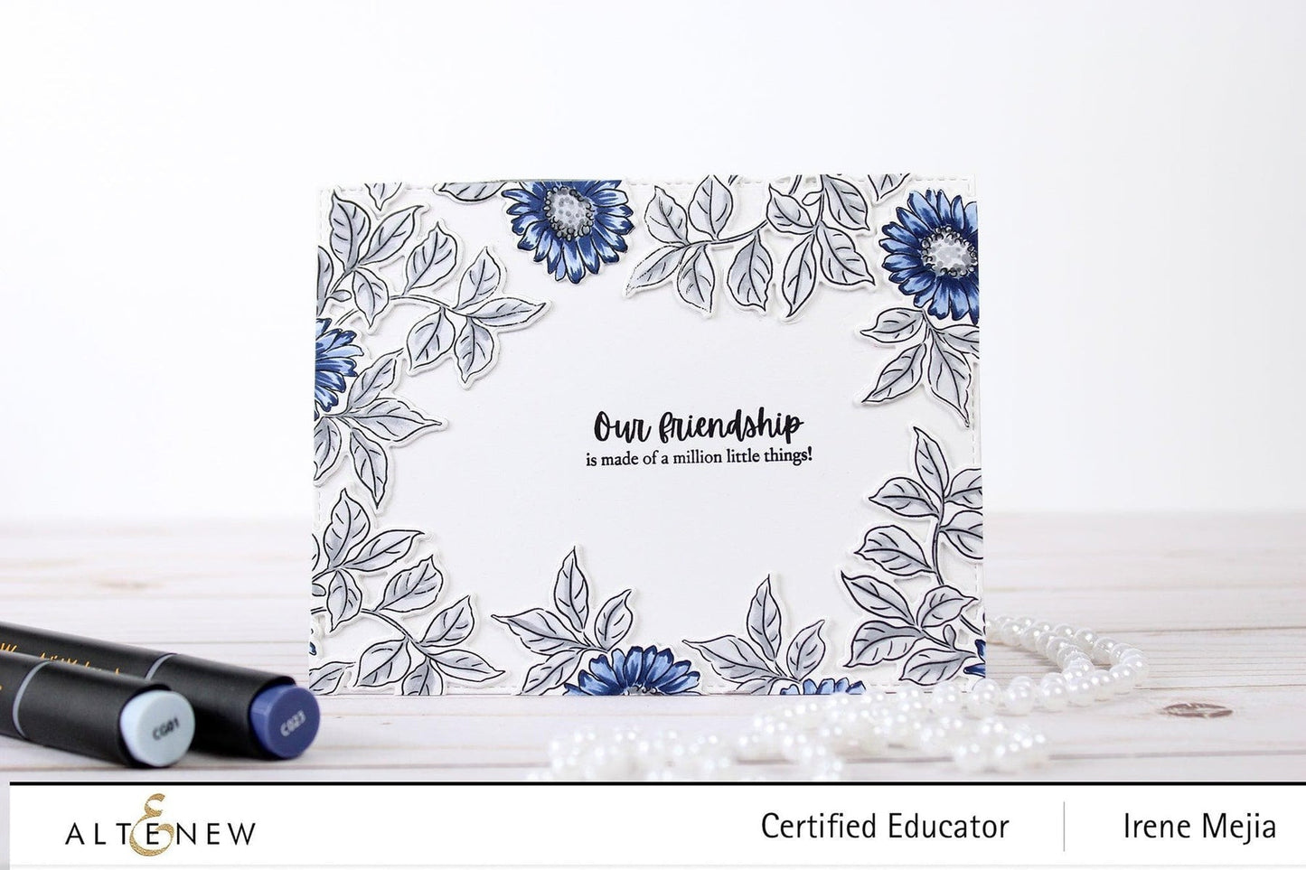 Build-A-Garden: Morning Asters Bundle