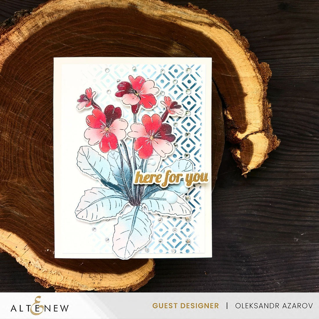 Build-A-Garden: Primrose Bundle