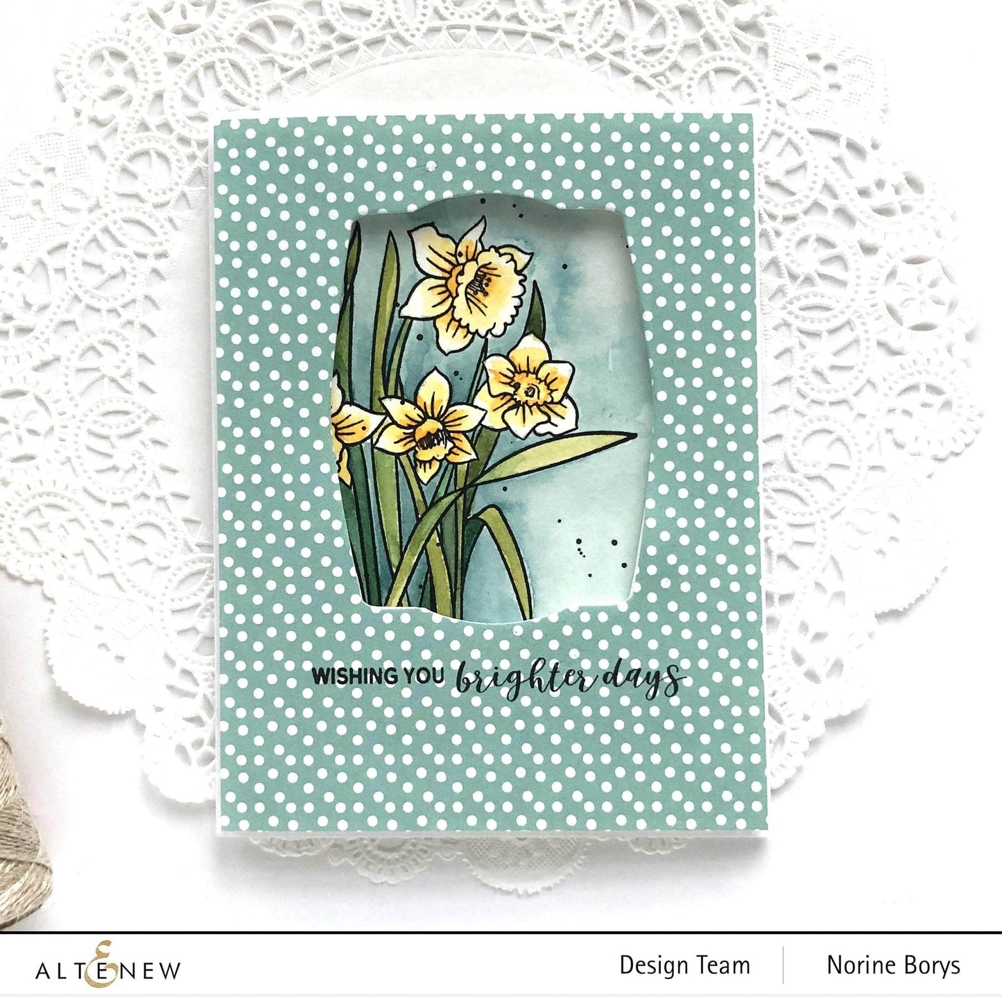 Paint-A-Flower: Daffodil Outline Stamp Set 