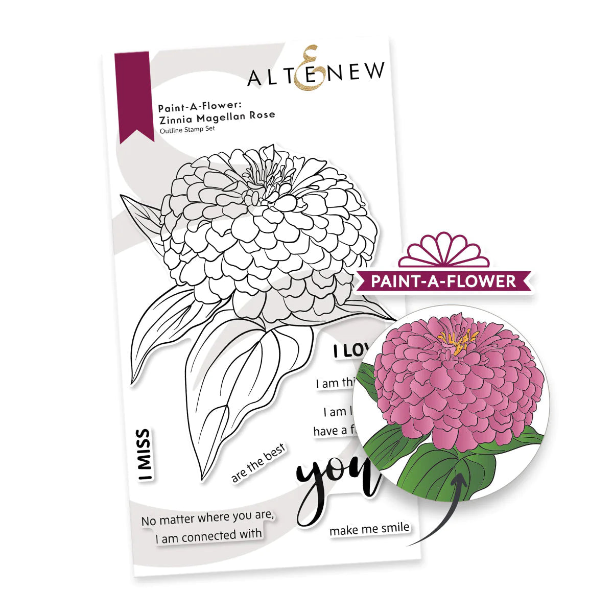 Paint-a-Flower: Zinnia Magellan Rose Outline Stamp Set