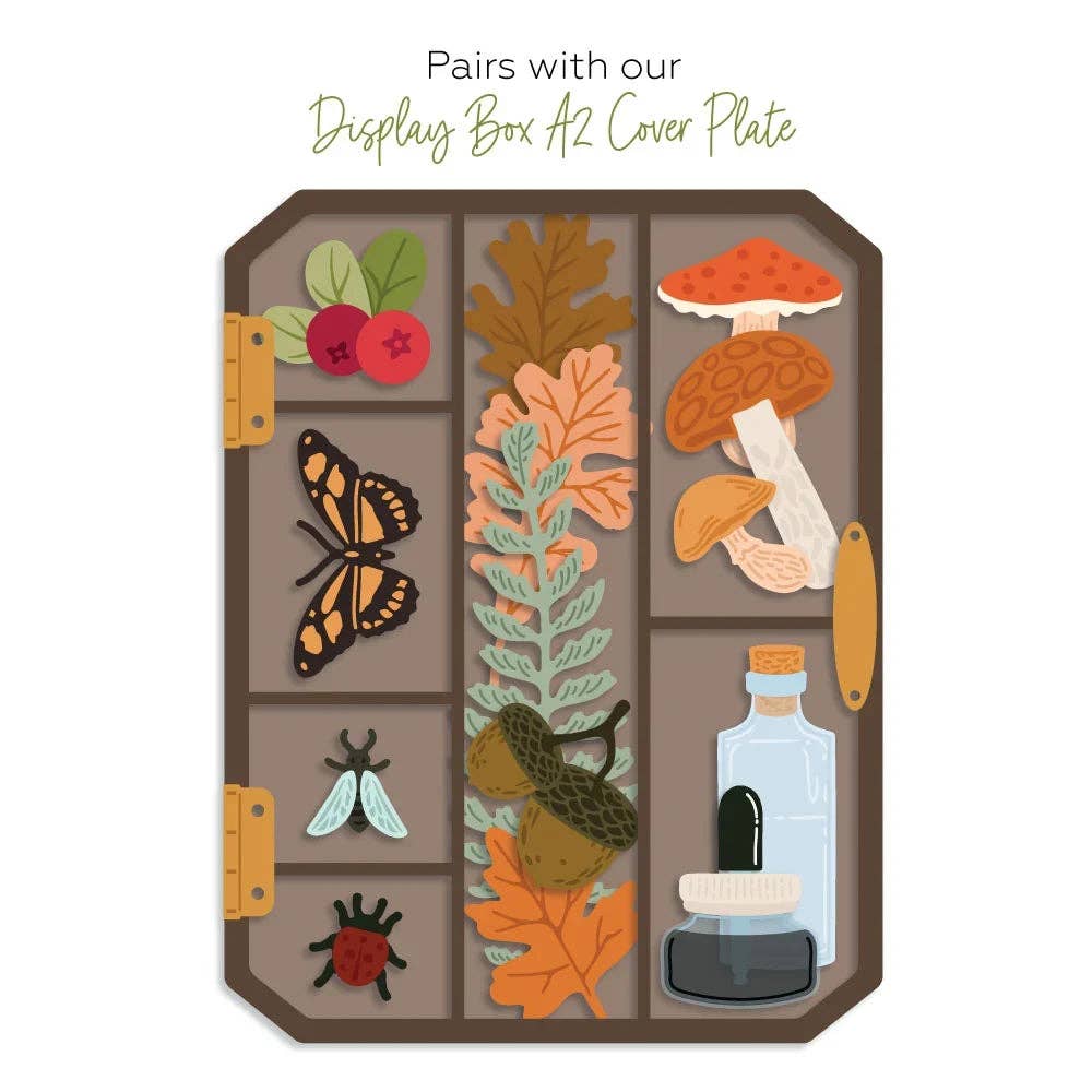 Display Box Fall Add-On Honey Cuts