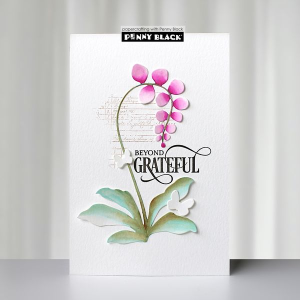 Demure Orchid Dies