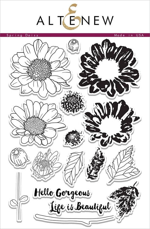 Spring Daisy Stamp Set