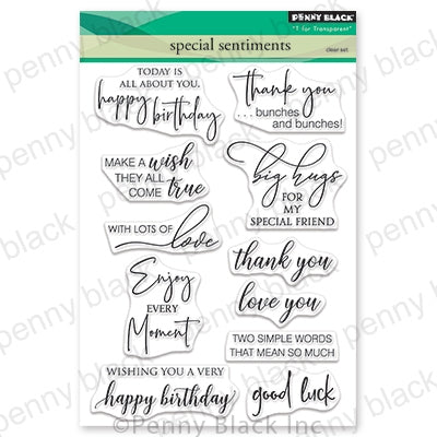 Special Sentiments Stamp Set