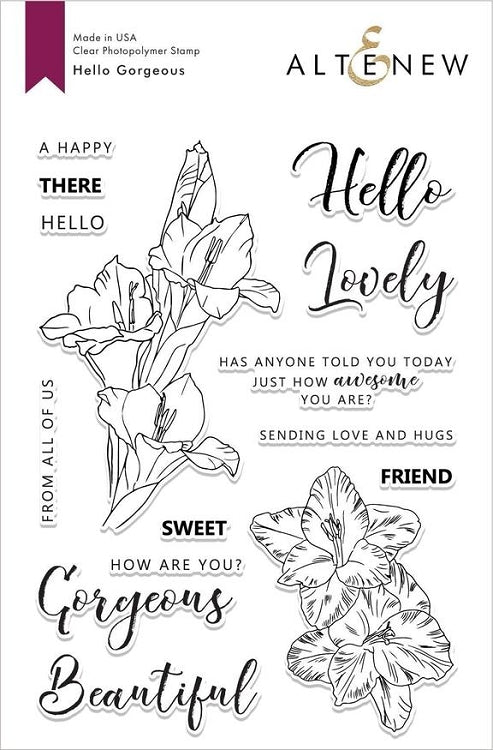 Hello Gorgeous Stamp Set