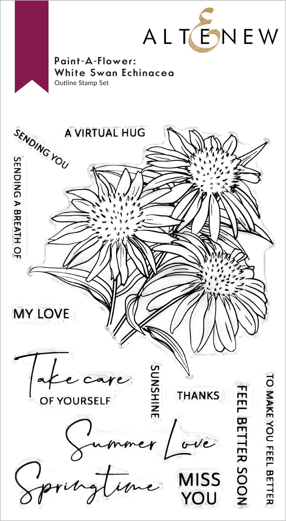 Paint-A-Flower: White Swan Echinacea Outline Stamp Set