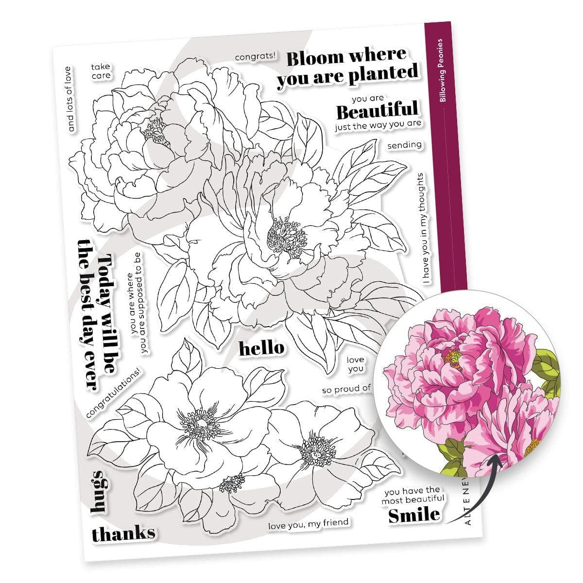 Billowing Peonies Stamp Set