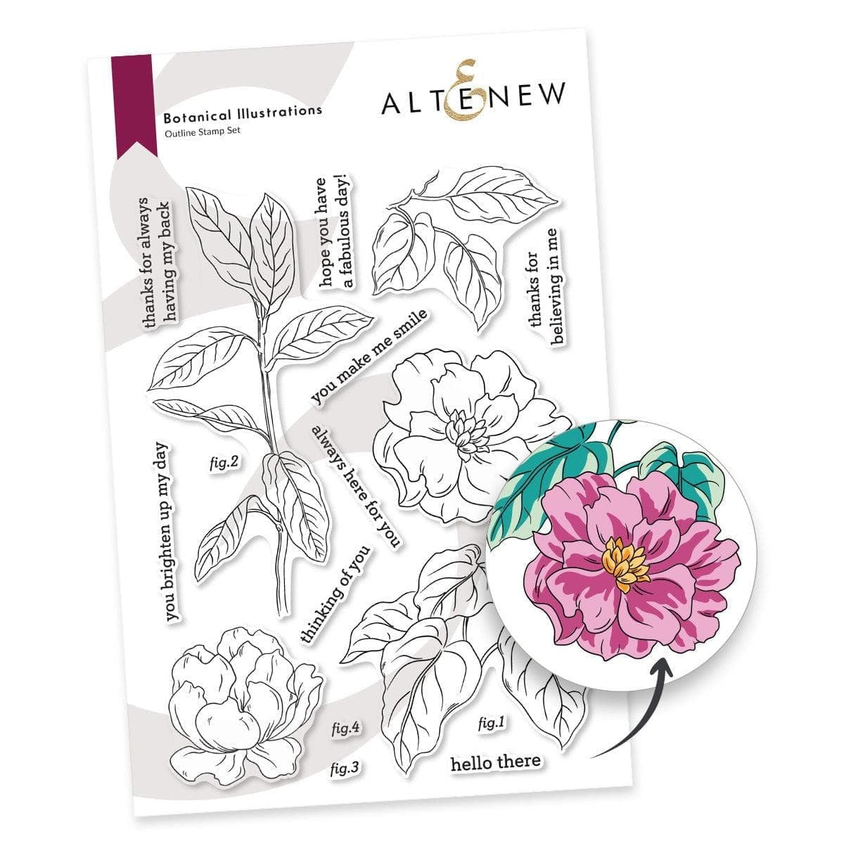 Botanical Illustrations Stamp Set