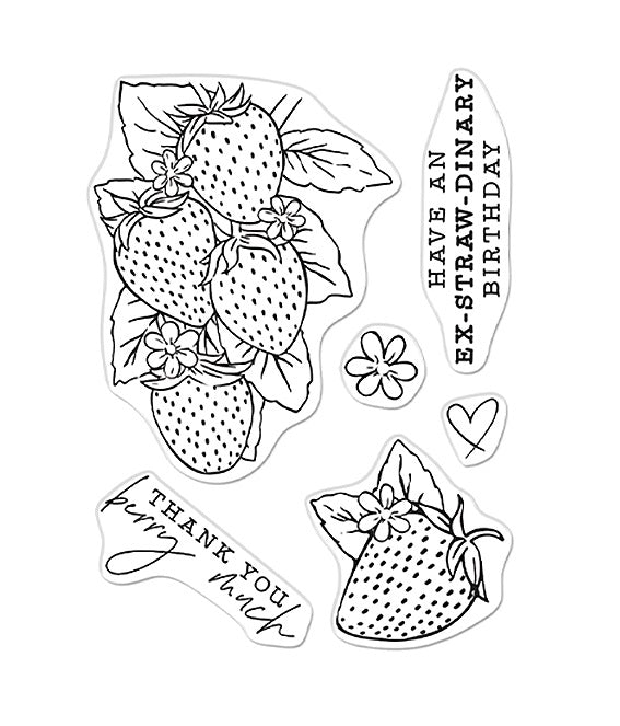 Hero Florals Strawberries Line Art Stamp Set
