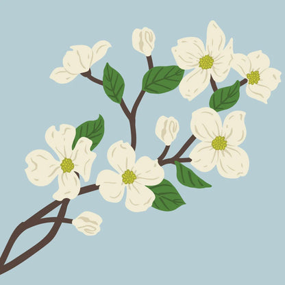 Lovely Layers: Dogwood Honey Cuts