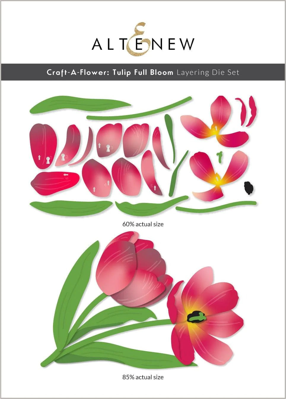 Craft-A-Flower: Tulip Full Bloom Layering Dies