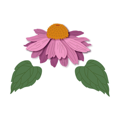 Lovely Layers: Coneflower Honey Cuts