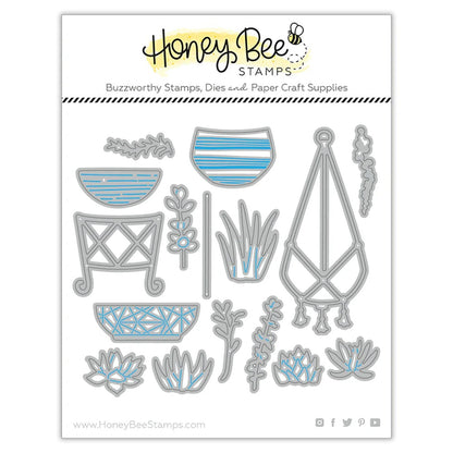 Succulent Garden Builder Honey Cuts