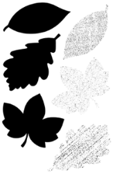 Fall Full O' Leaves Stamp Set