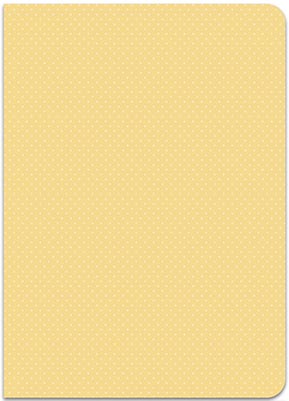 Dandy Day Mini Notebooks