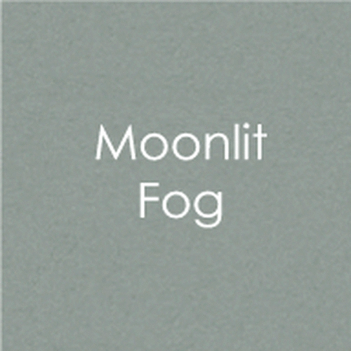 Moonlit Fog Envelopes