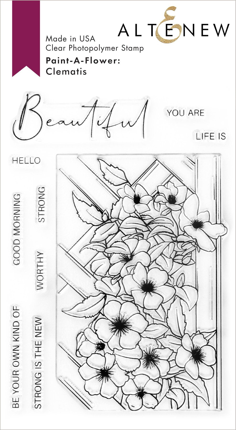 Paint-A-Flower: Clematis Outline Stamp Set
