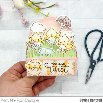 Spring Chicks Stamp Set