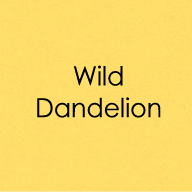 Wild Dandelion Envelopes
