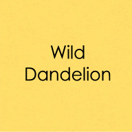 Heavy Weight 8.5x11 Cardstock Wild Dandelion